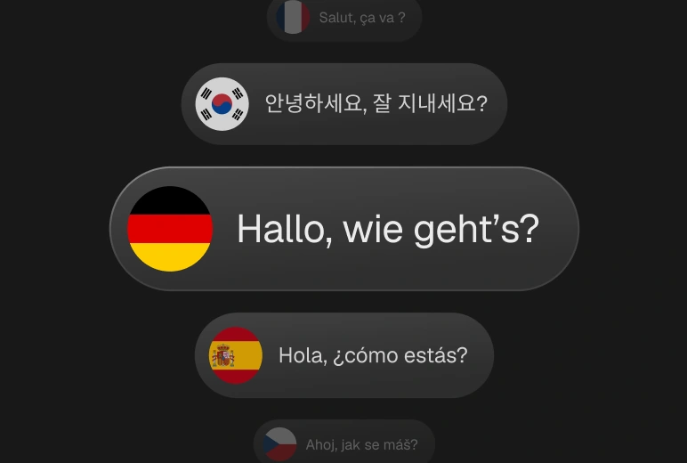Language picker with German selected