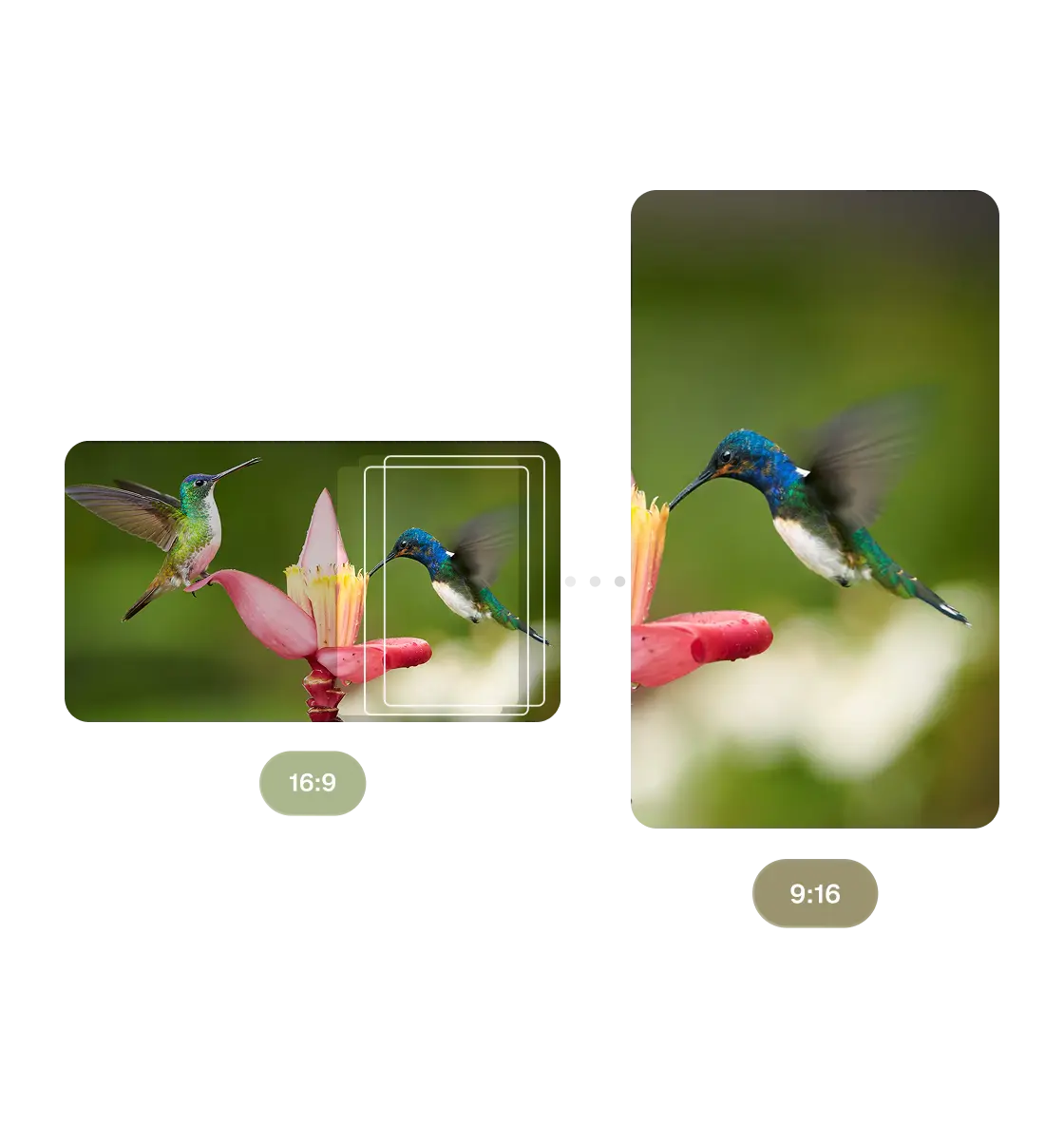 Reframe